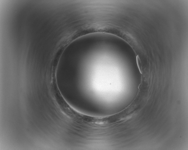 X0000069830740200605191139