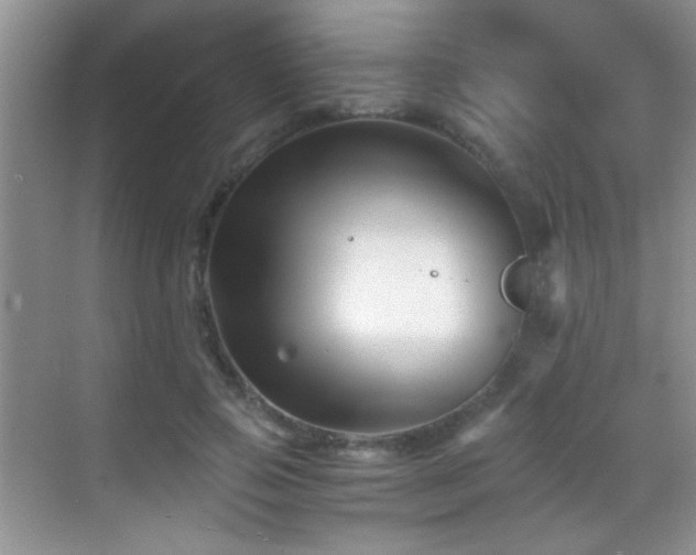 X0000069830741200605191139