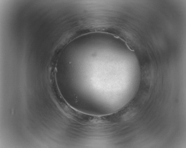 X0000069830742200605191139