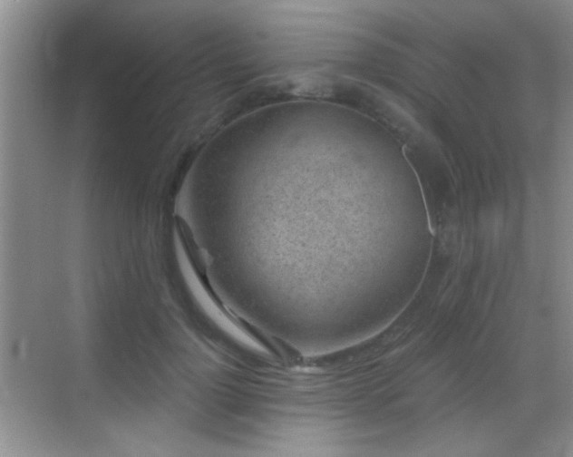 X0000069830748200605191139