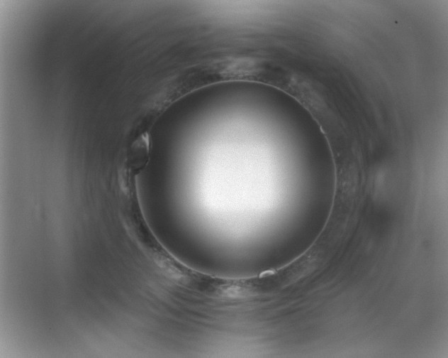 X0000069830755200605191139