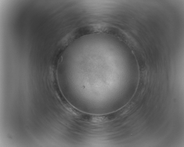 X0000069830757200605191139