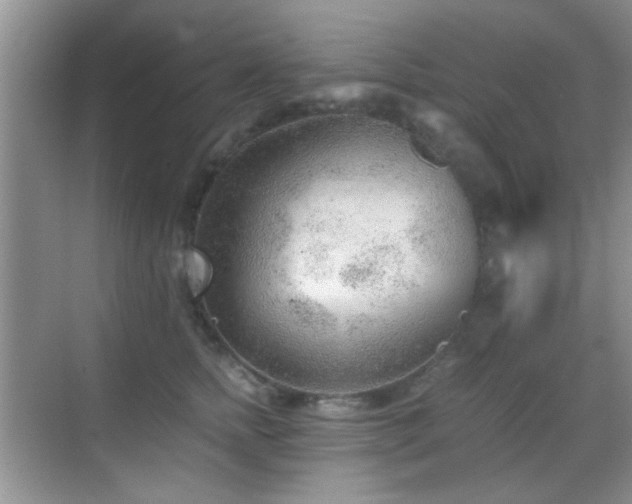 X0000069830758200605191139