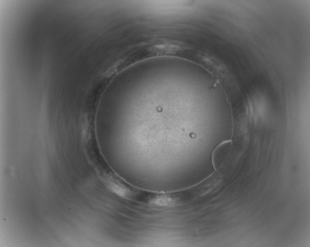 X0000069830759200605191139