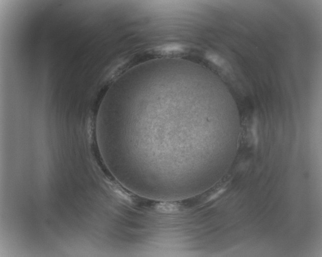 X0000069830762200605191139