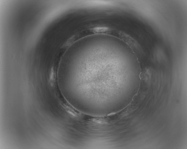 X0000069830763200605191139