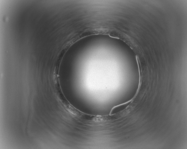 X0000069830764200605191139