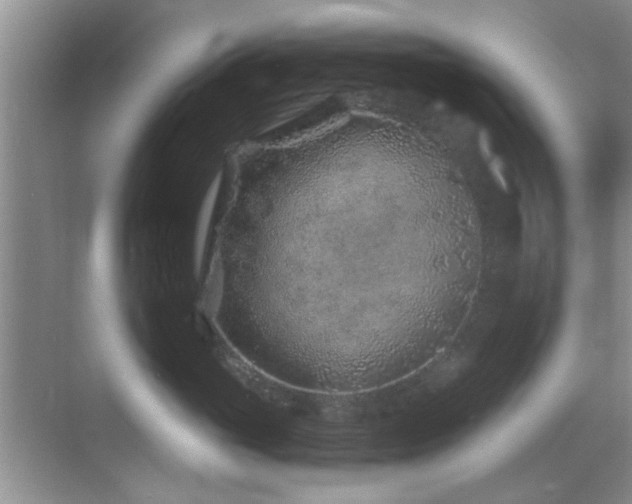 X0000069830765200605191139