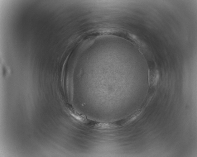 X0000069830766200605191139