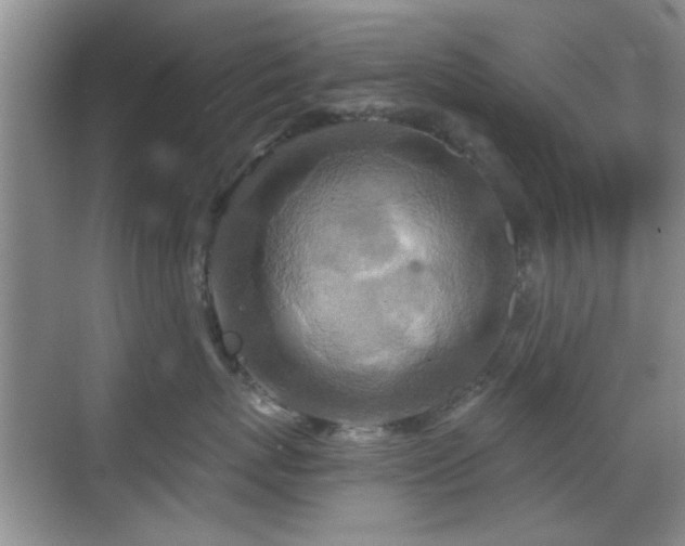 X0000069830767200605191140