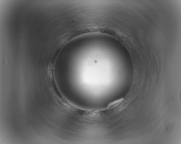 X0000069830768200605191140