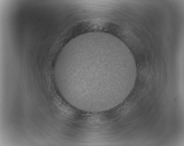 X0000069830769200605191139