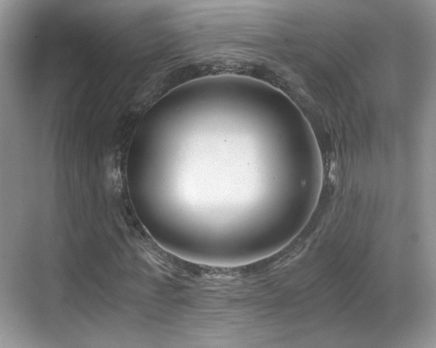 X0000069830771200605191139