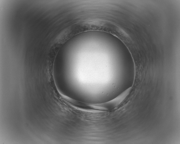 X0000069830774200605191139