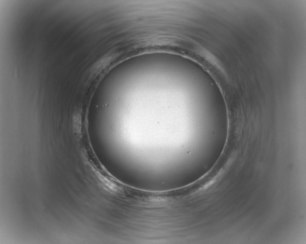 X0000069830777200605191139