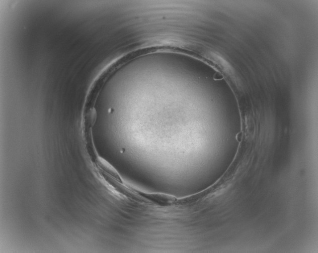 X0000069830780200605191139