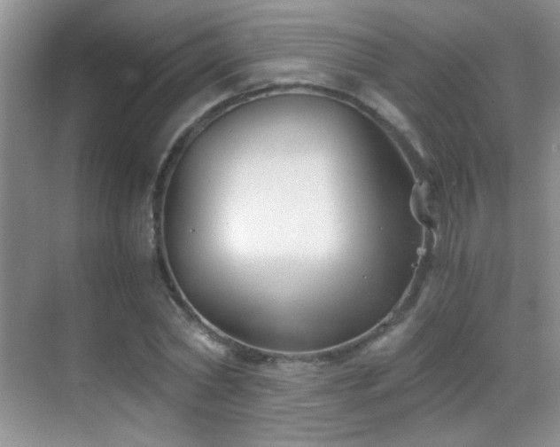 X0000069830782200605191138