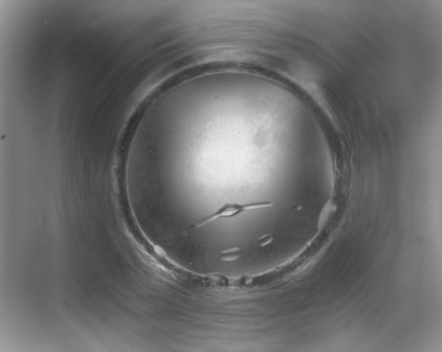 X0000069830783200605191138