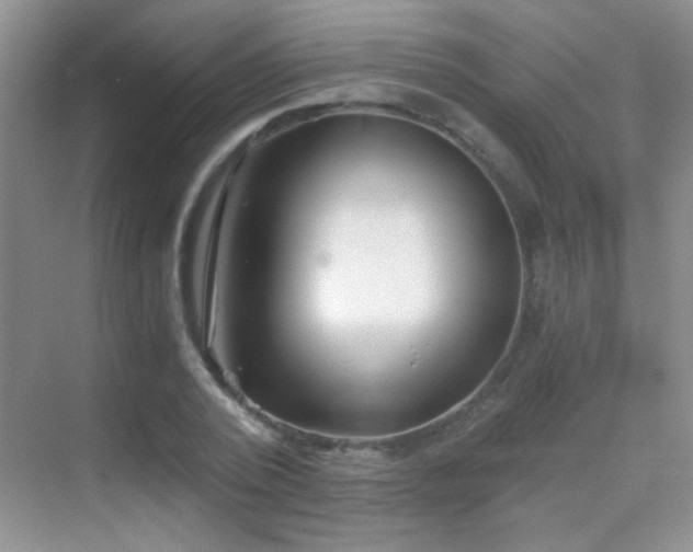 X0000069830784200605191138