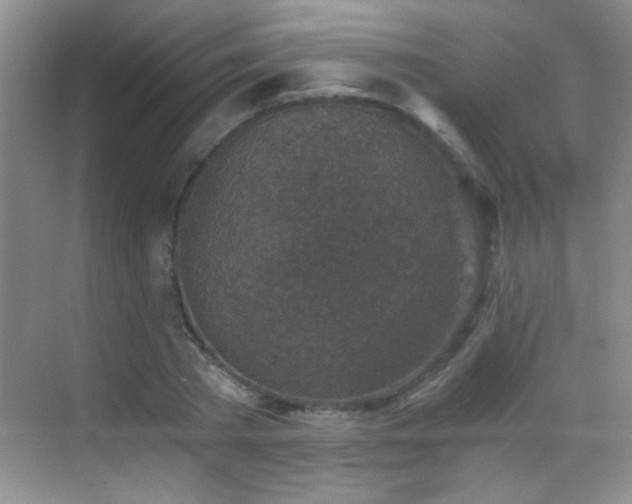 X0000069830785200605191138