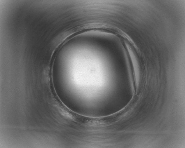 X0000069830786200605191138