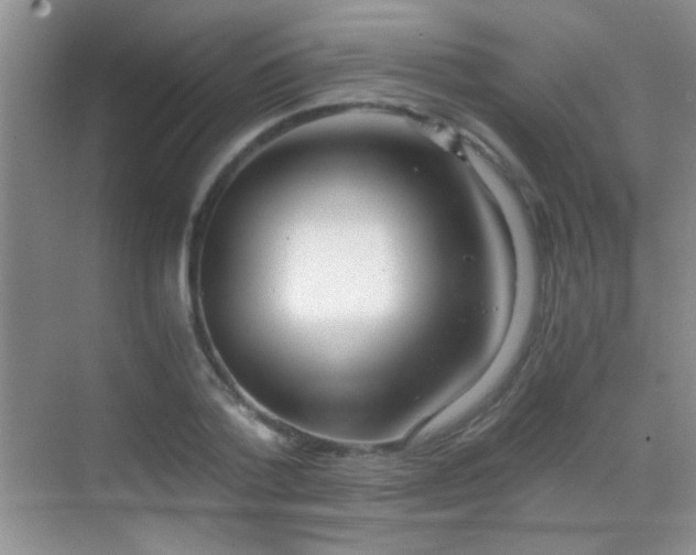 X0000069830788200605191138