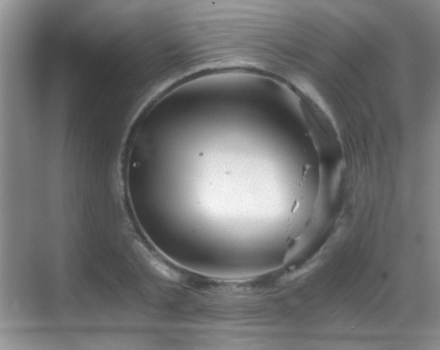 X0000069830789200605191138