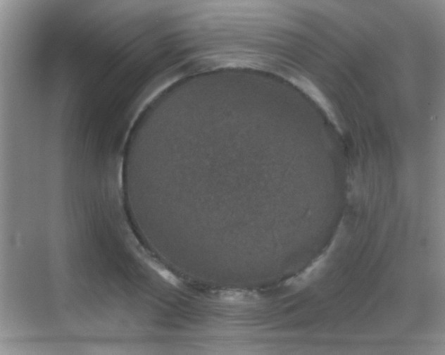 X0000069830790200605191138