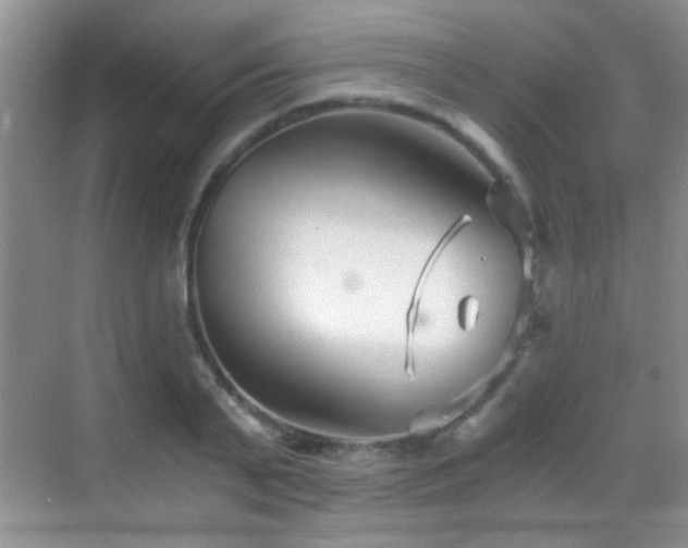 X0000069830791200605191138