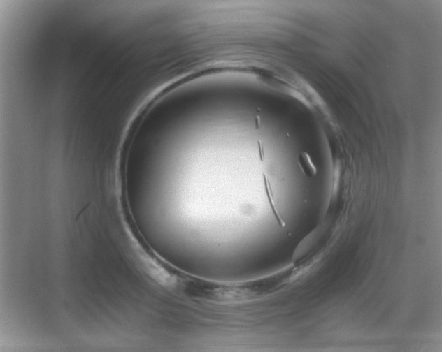 X0000069830795200605191138