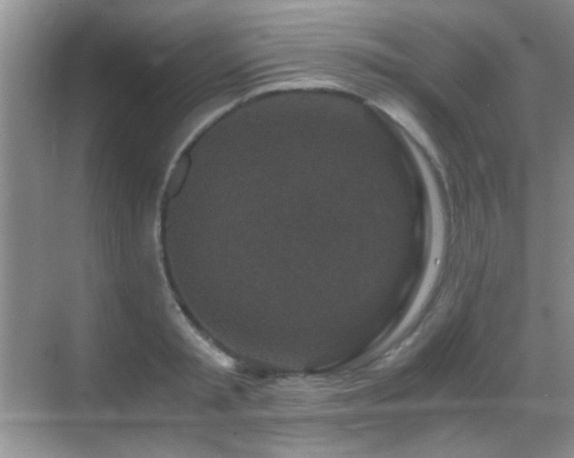 X0000069830797200605191138