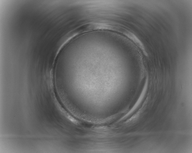 X0000069830798200605191138