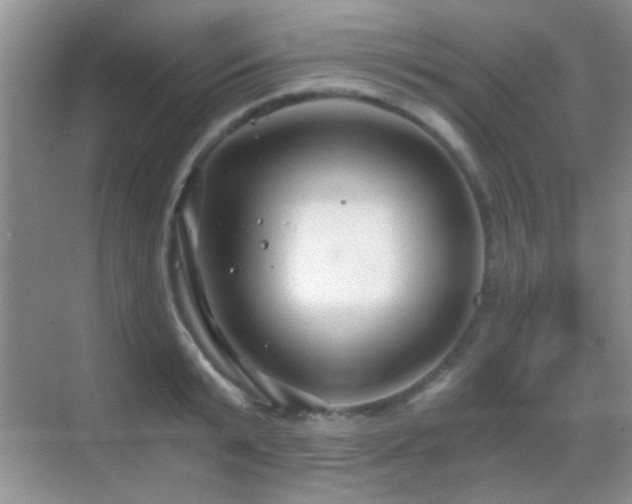 X0000069830799200605191138