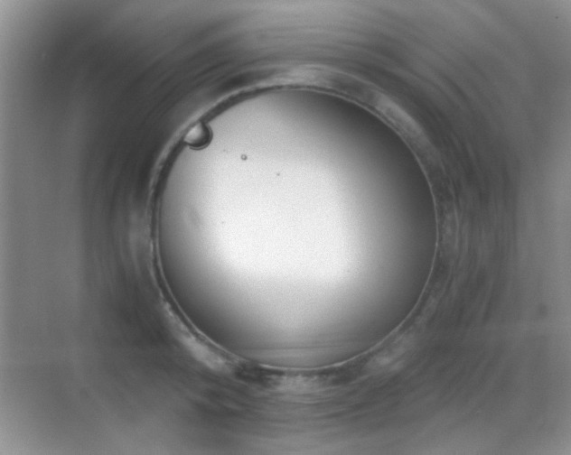 X0000069830800200605191138