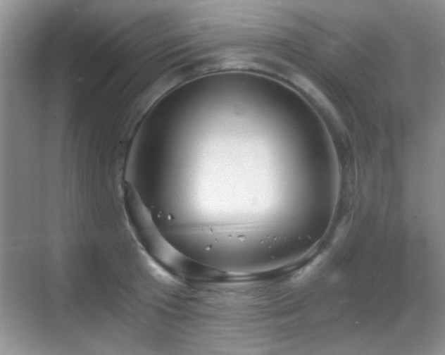 X0000069830801200605191138