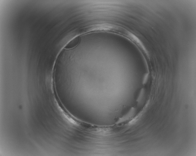 X0000069830802200605191138