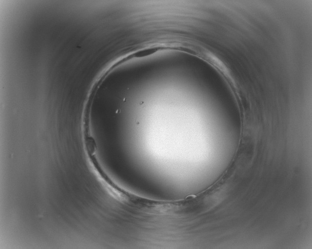 X0000069830803200605191138