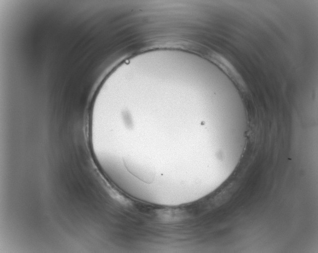 X0000069830804200605191138