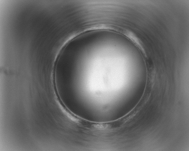 X0000069830805200605191138