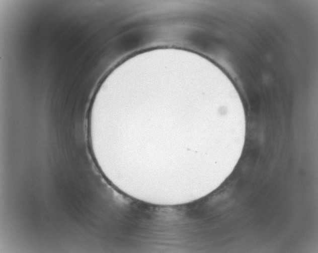 X0000069830807200605191138