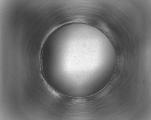 X0000069830808200605191138