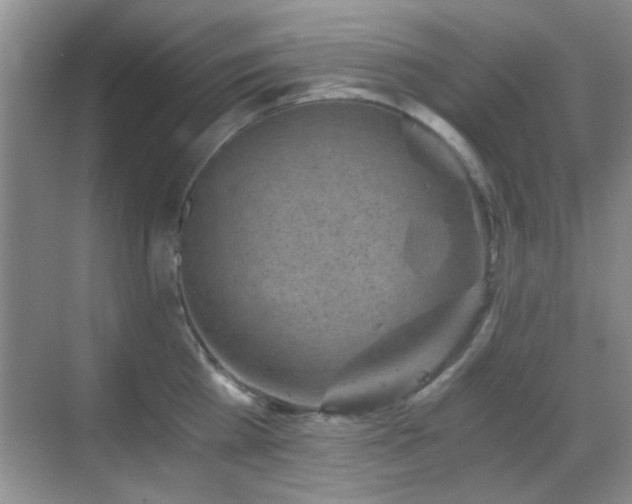 X0000069830809200605191138