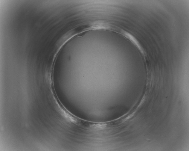 X0000069830810200605191138