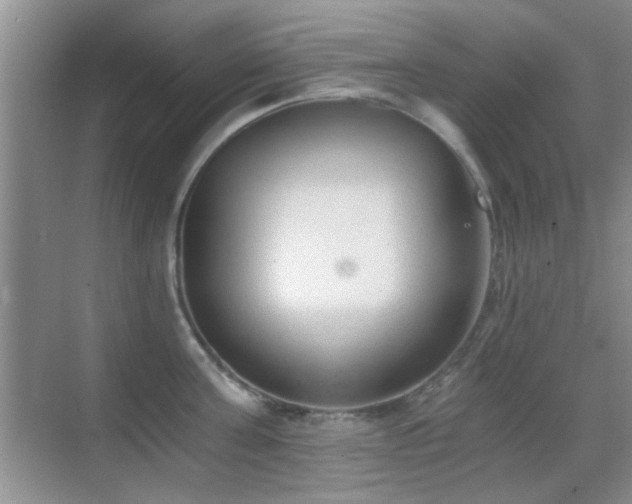 X0000069830811200605191138