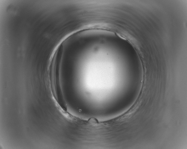 X0000069830816200605191138