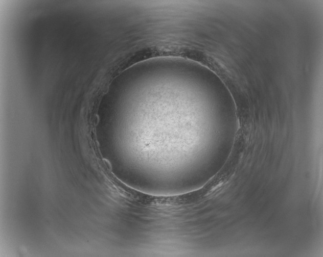 X0000069830817200605191137