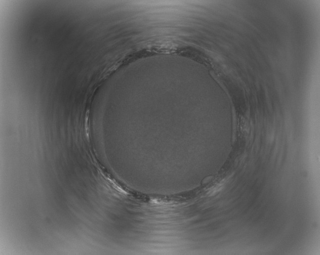 X0000069830818200605191137