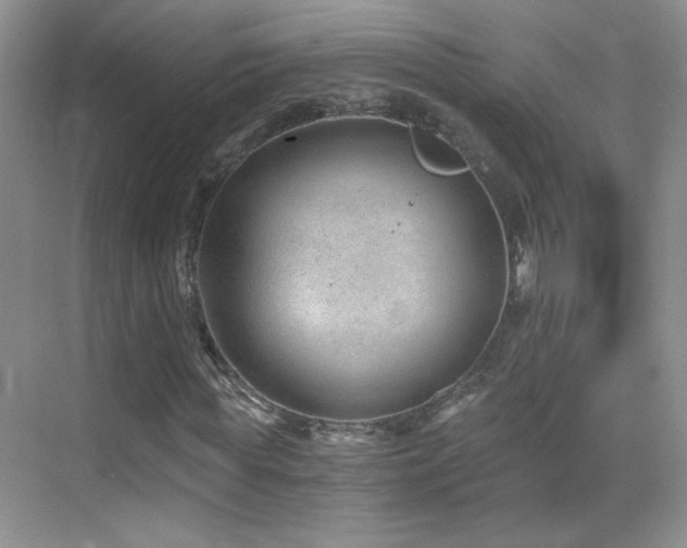 X0000069830819200605191137