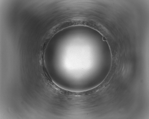 X0000069830821200605191137