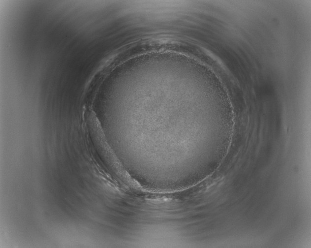 X0000069830823200605191137